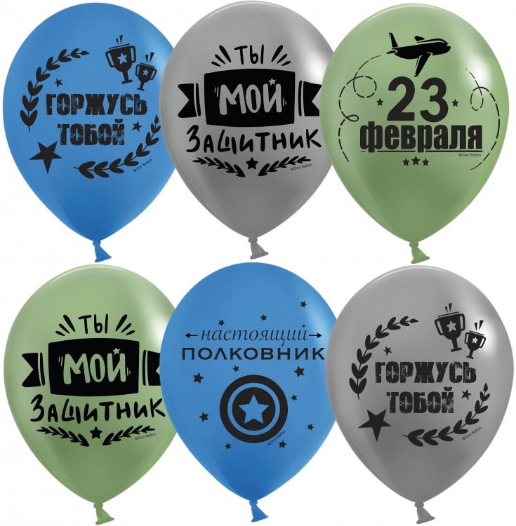 Шар С 23 Февраля, Мой Защитник! Ассорти Пастель, 2 ст  