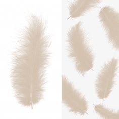 Перья Шампань